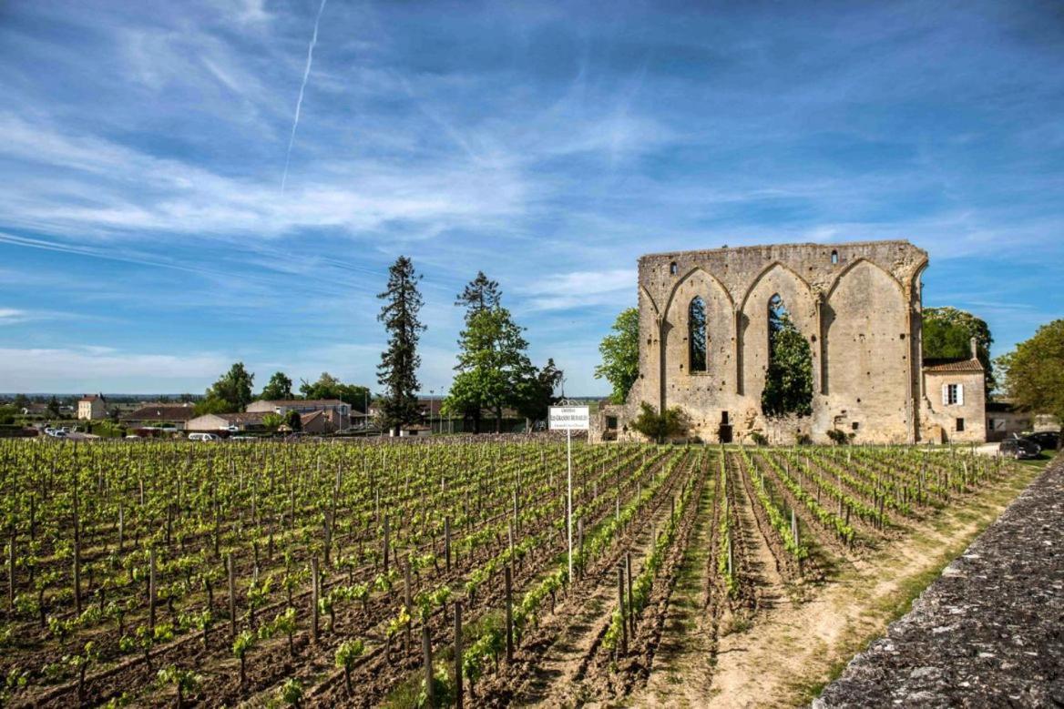 Maison Cosy Avec Vue Sur Les Vignes. Libourne Eksteriør billede