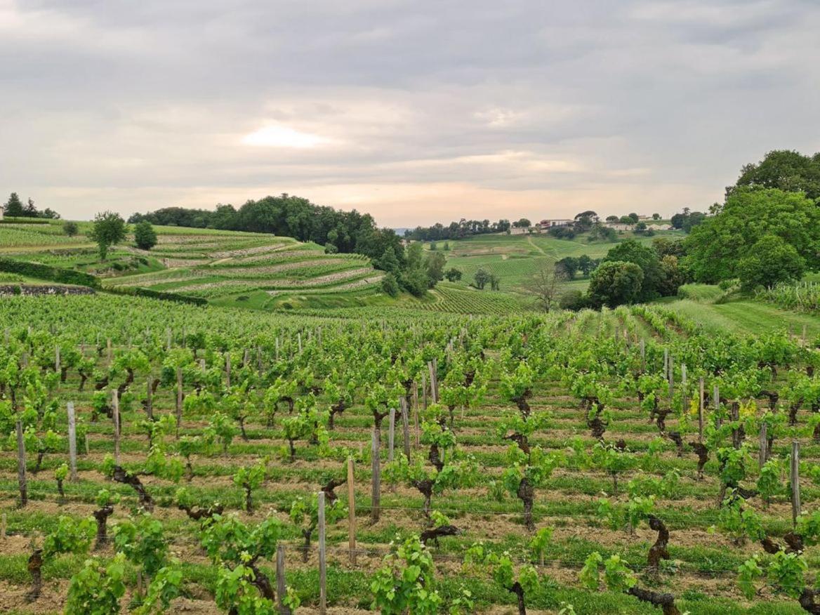 Maison Cosy Avec Vue Sur Les Vignes. Libourne Eksteriør billede
