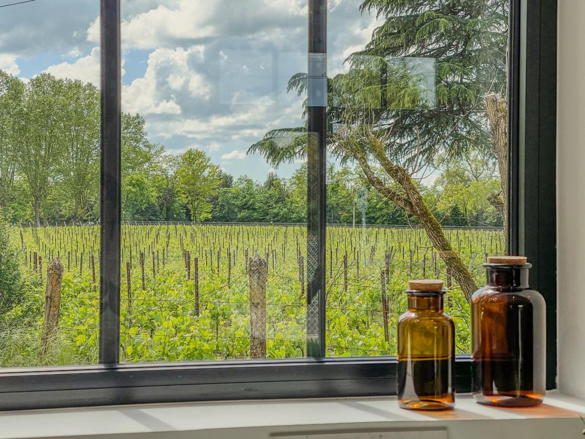Maison Cosy Avec Vue Sur Les Vignes. Libourne Eksteriør billede